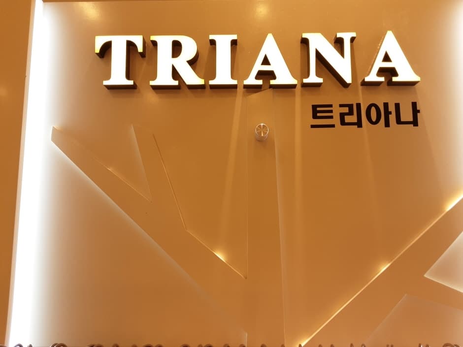 Triana [Tax Refund Shop] (트리아나)