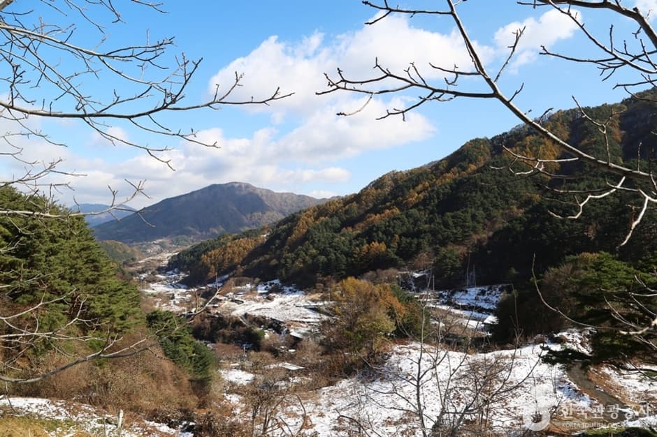 Jirisan Recreational Forest (국립 지리산자연휴양림)