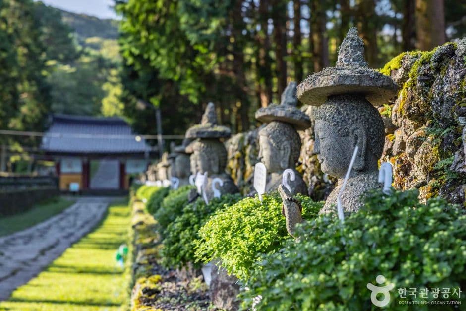 Gwaneumsa Temple (Jeju) (관음사(제주))