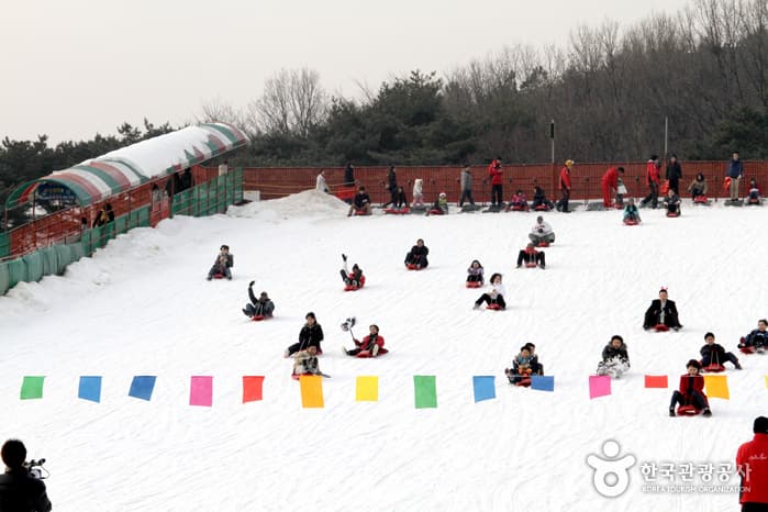 Seoulland Sledding Hills (서울랜드 눈썰매장)