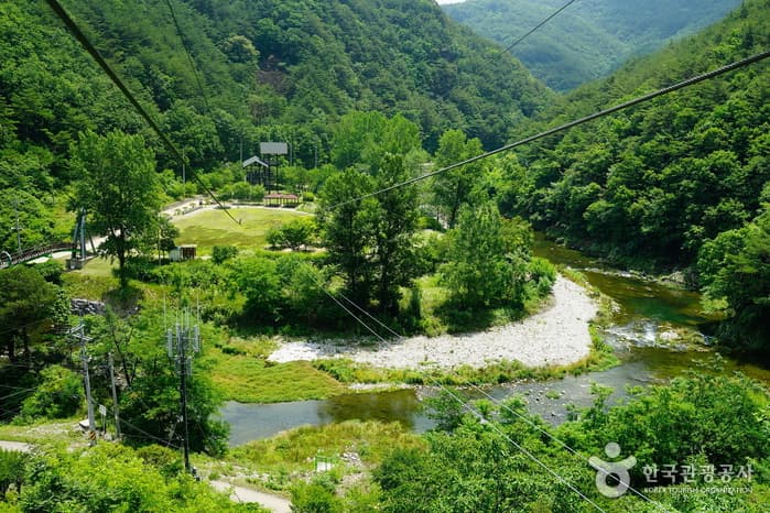 Pyeongchang Eoreumchi Village (평창 어름치마을)