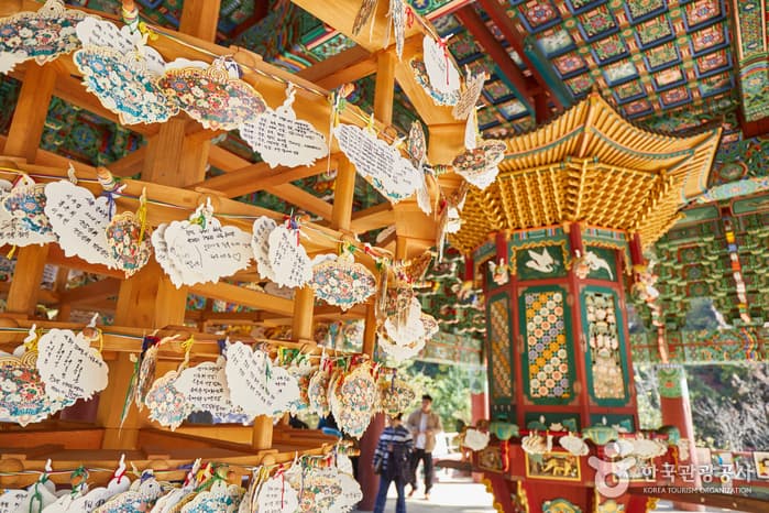 Woljeongsa Temple & Needle Fir Forest (월정사.월정사전나무숲)