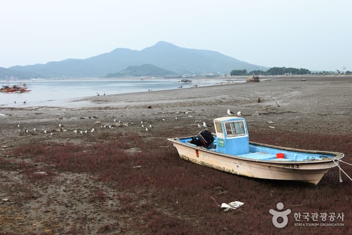 Seonsu Port (Hupohang Port) (후포항 선수포구)