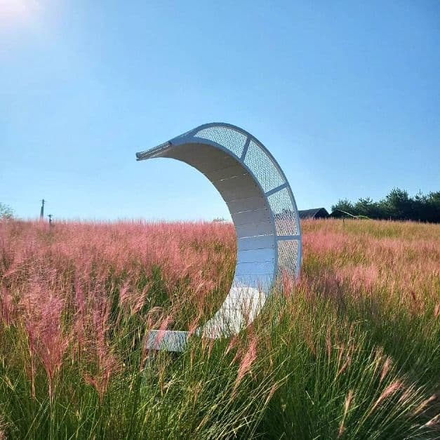 Gochang Blue Farm Pink Muhly Season (고창청농원 핑크뮬리시즌)