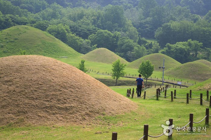 Ancient Tombs in Gyo-dong and Songhyeon-dong, Changnyeong (창녕 교동과 송현동 고분군)