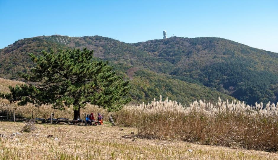 Seunghaksan Mountain (승학산)