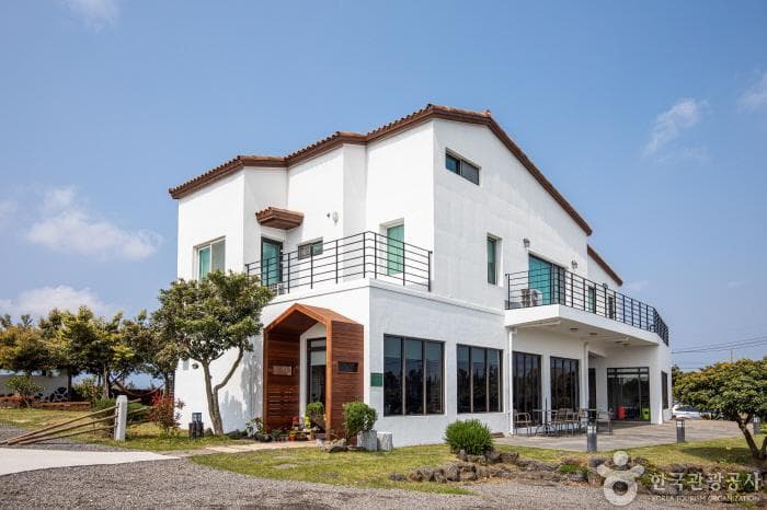 Tilda House (틸다하우스)