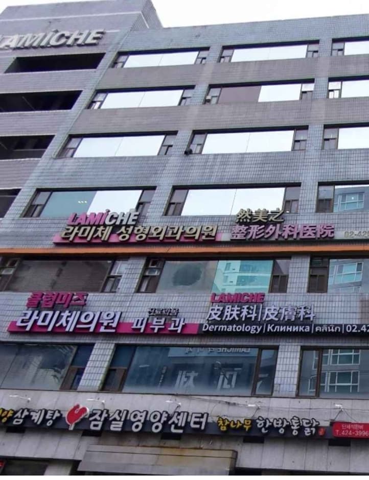 Lamiche Plastic Surgery [Tax Refund Shop] (라미체성형외과)