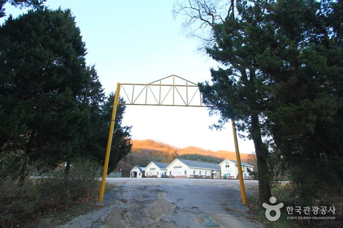 Ttakttaguri Youth Center (딱따구리청소년수련원)