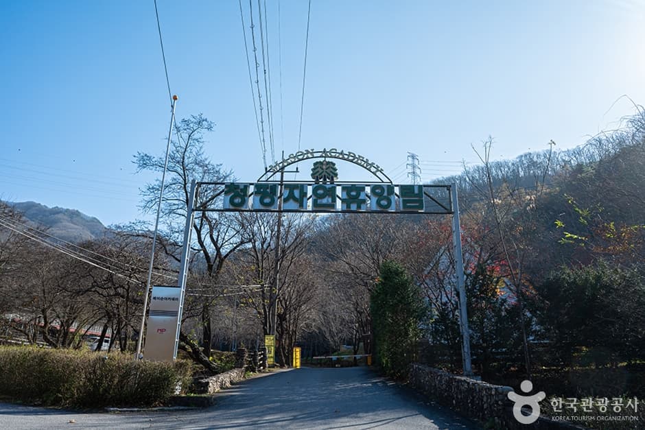 Cheongpyeong Recreational Forest (청평자연휴양림)