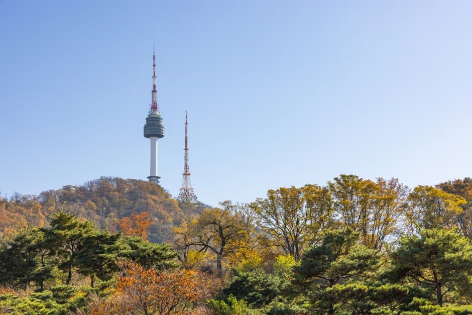 N Seoul Tower (남산서울타워)