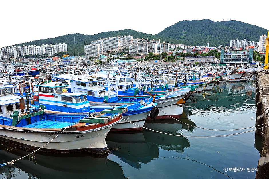 Gukdonghang Port (국동항)