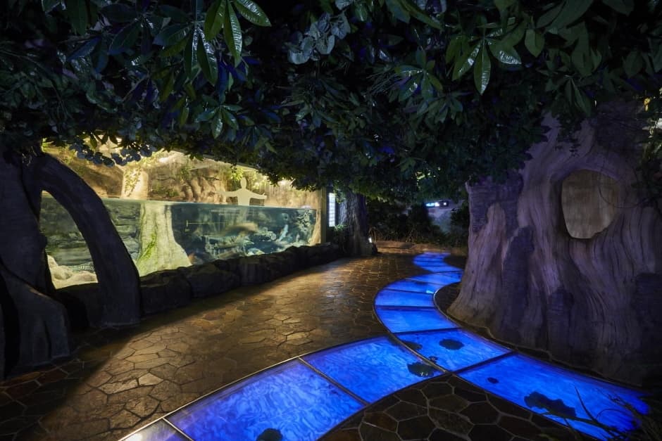 Aqua Planet Jeju (아쿠아플라넷 제주)