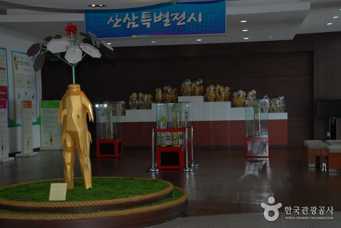 Geumsan Ginseng Museum (금산인삼관)