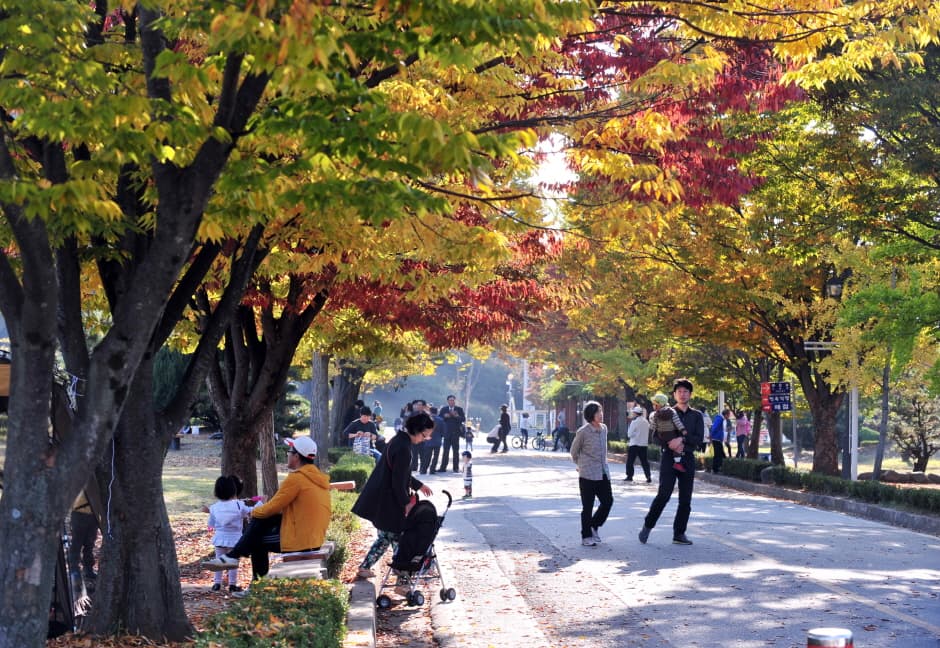 Jungoe Park (중외공원)