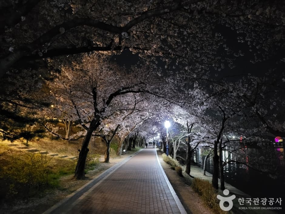 Bomunho Lake (보문호)