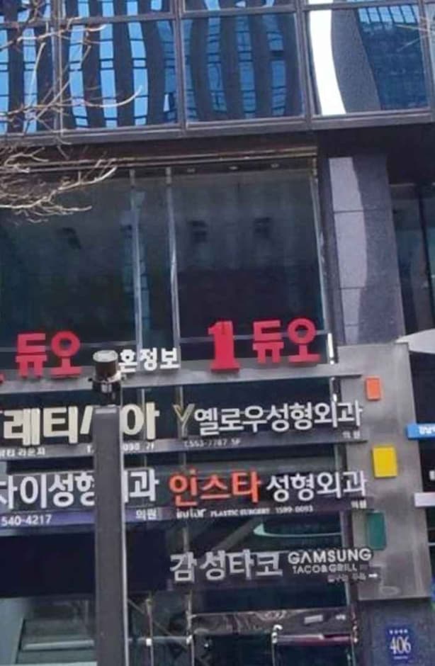 INSTAR Plastic Surgery [Tax Refund Shop] (인스타성형외과의원)