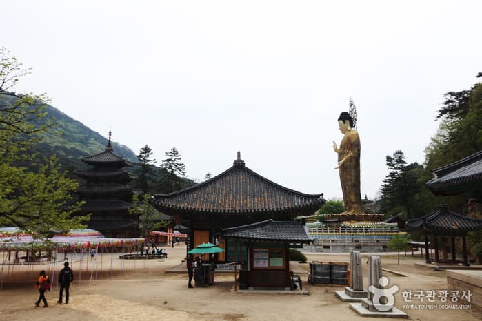 Boeun Beopjusa Temple [UNESCO World Heritage] (보은 법주사 [유네스코 세계문화유산])