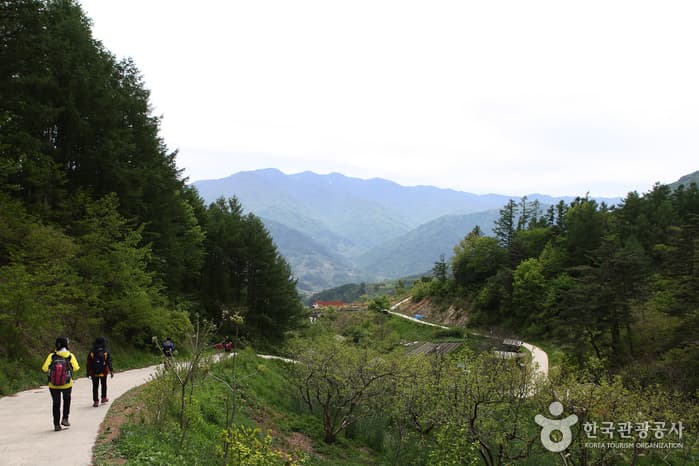 [Jirisan Trail Course] Inwol-Geumgye