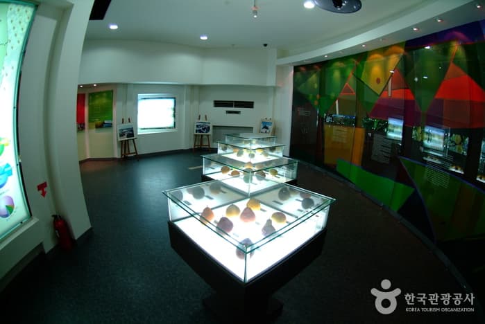 Naju Pear Museum (나주배박물관)