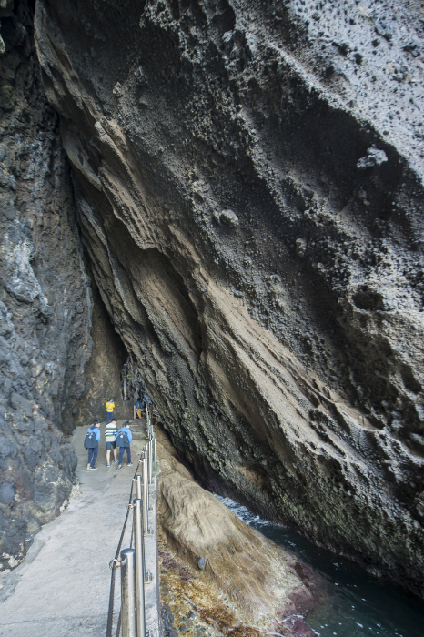 Dodong Coastal Trail (도동 해안산책로)