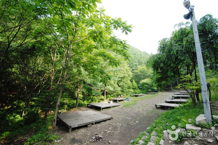 Jungmisan Recreational Forest (중미산자연휴양림)