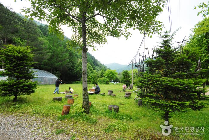 Sambong National Recreational Forest (국립 삼봉자연휴양림)