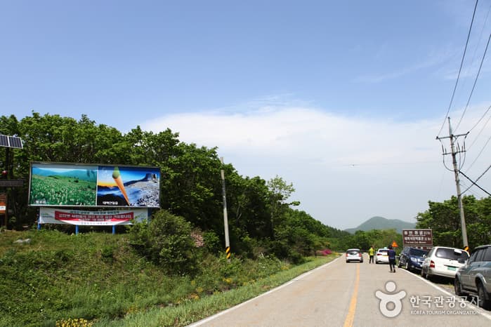 Bunjuryeong Wildflower Trekking (분주령야생화 트레킹)