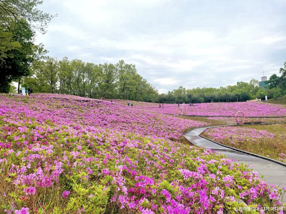 Buramsan Butterfly Garden (불암산나비정원)