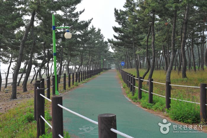 Sacheon Beach (사천해변(사천해수욕장))