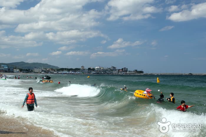 Goraebul Beach (고래불해수욕장)