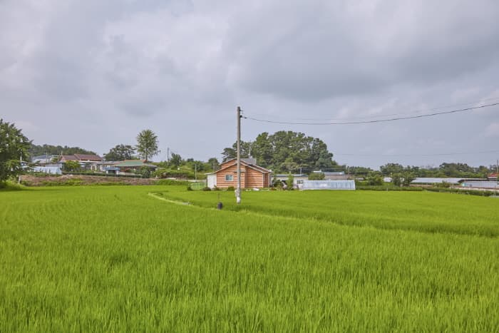 Icheon Doniul Myeongpum Rice Village (이천 도니울 명품쌀마을)