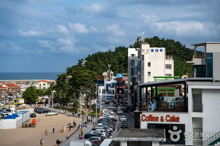 Gangneung Coffee Street (강릉커피거리)