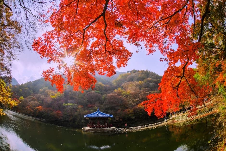Uhwajeong Pavilion (우화정(내장산))