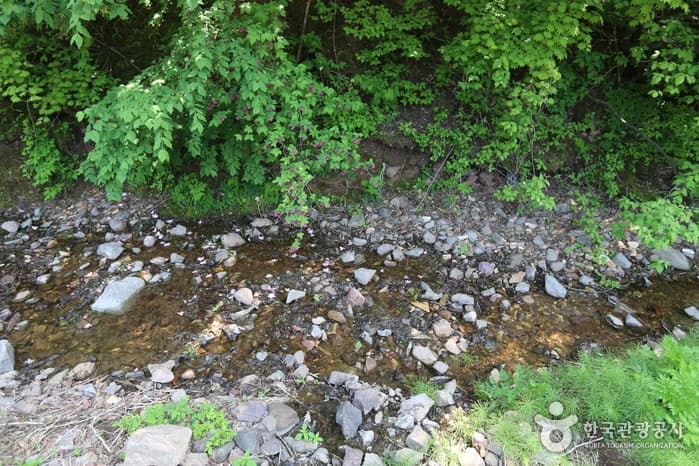 Taebaek Guwau Village (Alpine Botanical Garden) (태백 구와우마을(고원자생식물원))