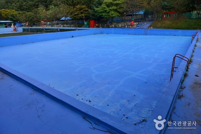 Yongin Leisure Pool (용인레저스포츠 야외수영장)