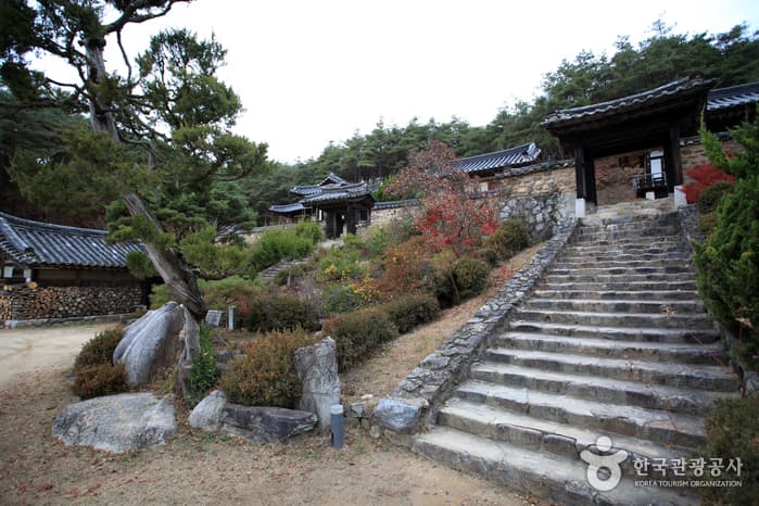 Andong Gunja Village (Ocheon Historic Site) (안동 군자마을(오천유적지))