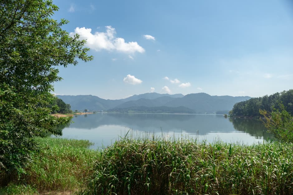 Daecheongho Obaengni (500-ri) Road (대청호오백리길)