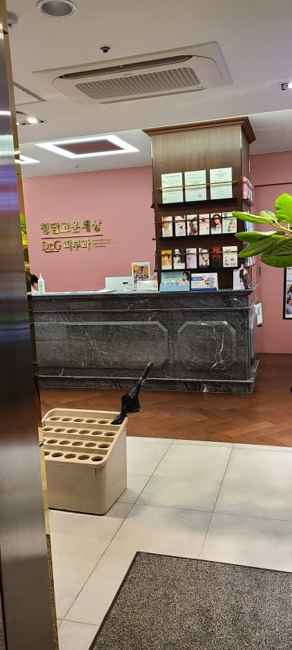 Cheongdam Gowoonsesang Dr.G Dermatology [Tax Refund Shop] (청담고운세상닥터지피부과의원)