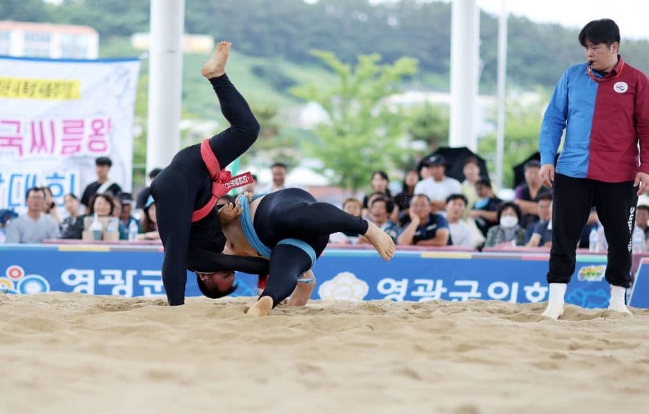 Beopseongpo Danoje (Dano Festival of Beopseongpo) (영광법성포단오제)