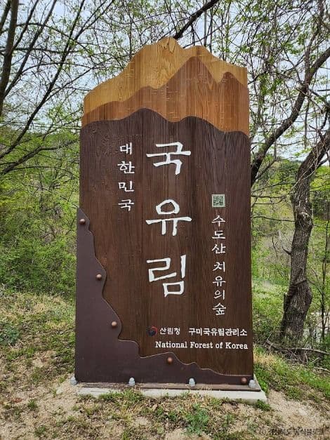 National Center for Forest Therapy, Gimcheon (국립김천치유의숲)