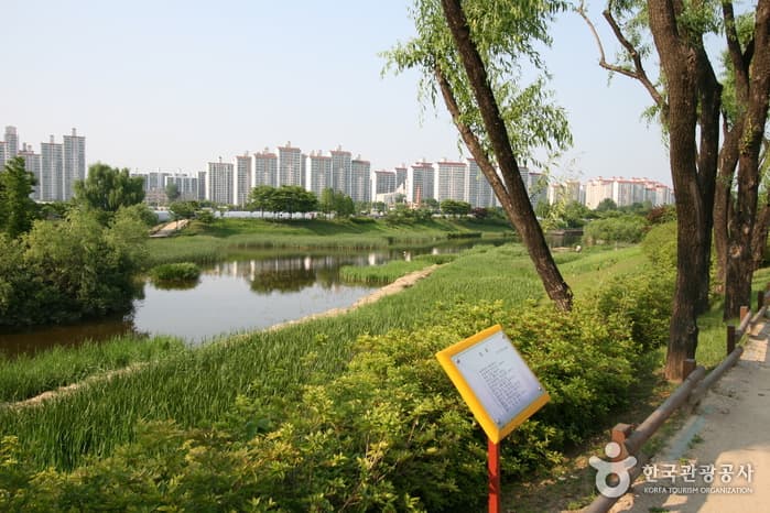Jangja Lake Park (장자호수공원)