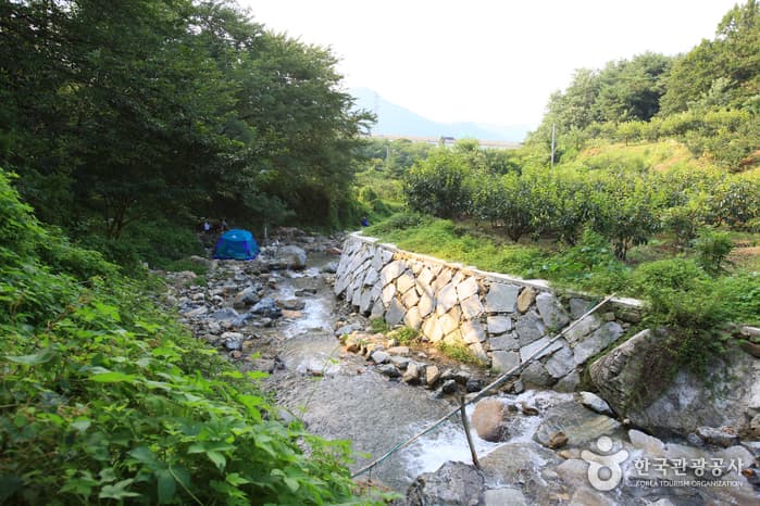 Dalcheongyegok Valley (Changwon) (달천계곡(창원))