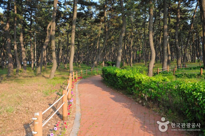Yeongokhaebyeon Beach (Yeongok Beach) (연곡해변(연곡해수욕장))