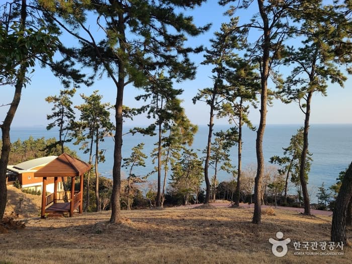 Jindo Island (진도)