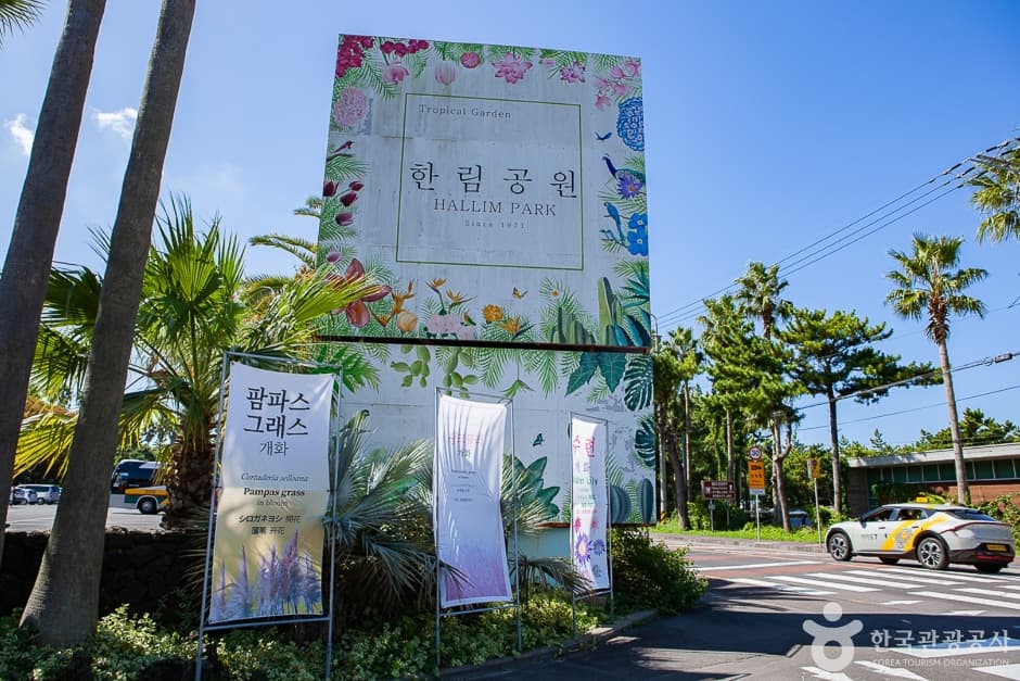 Hyeopjaegul Lava Tube (Hallim Park) (협재굴(한림공원))