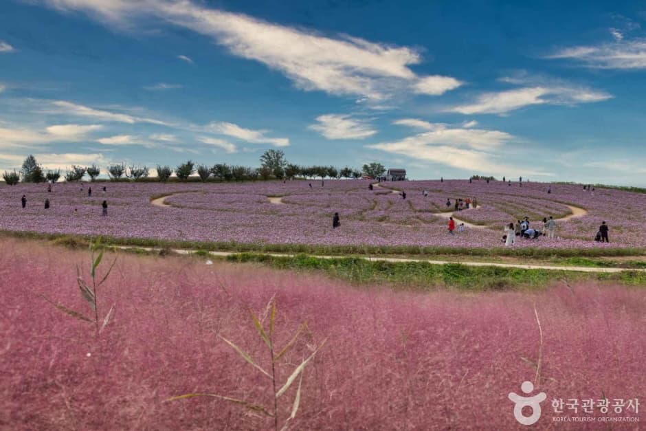 Anseong Farmland (안성팜랜드)