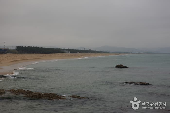 Daejin Beach (대진해수욕장)