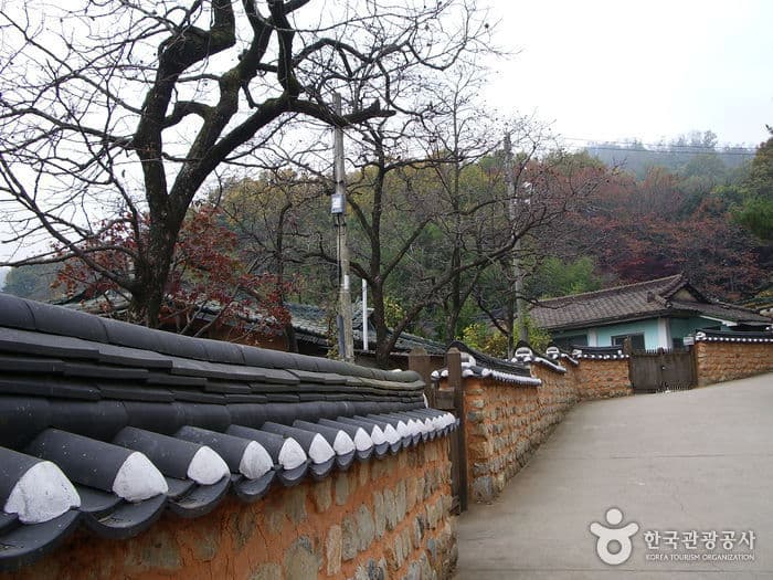 Birth Home of President Park Chung-hee (박정희 대통령 생가)