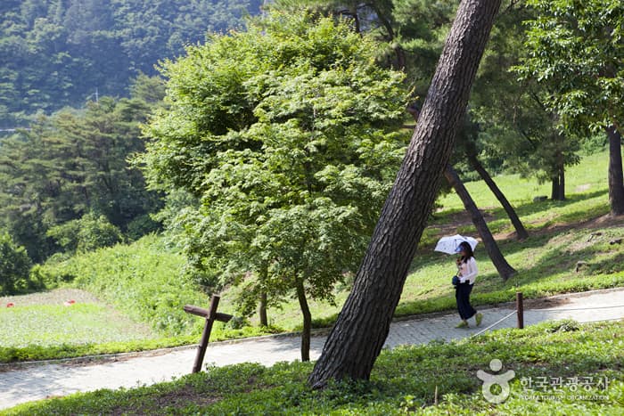 Jeongeup Naejangsan Special Tourist Zone (정읍 내장산 관광특구)